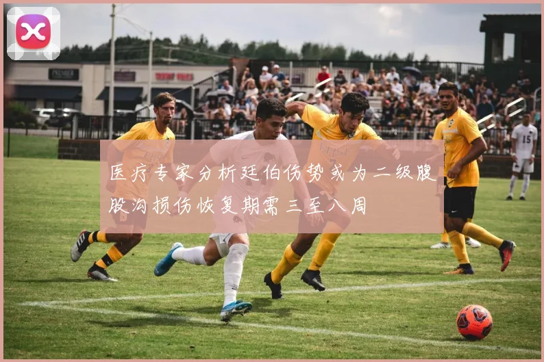 医疗专家分析廷伯伤势或为二级腹股沟损伤恢复期需三至八周