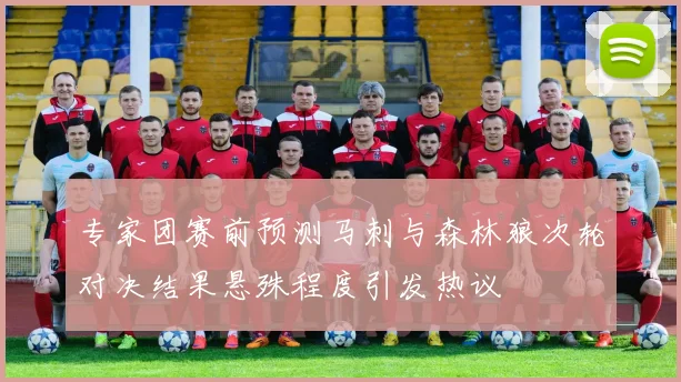 专家团赛前预测马刺与森林狼次轮对决结果悬殊程度引发热议